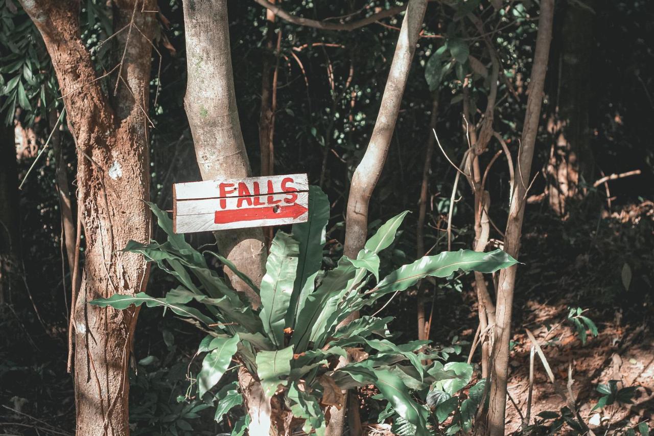 La Vie Adventure Trails Hotel Salabusob Exterior photo
